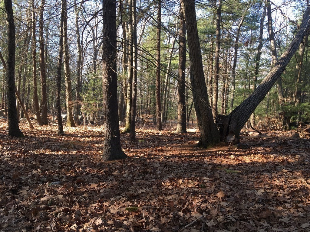 6 Woodland Road Beverly, MA 01915 - Photo 12 of 31 Gallery Image 12