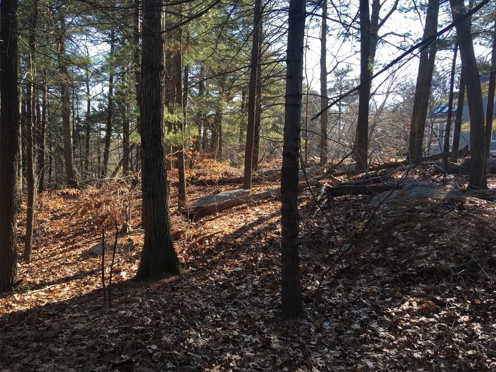 6 Woodland Road Beverly, MA 01915 - Photo 13 of 31 Gallery Image 13