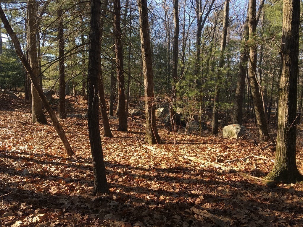 6 Woodland Road Beverly, MA 01915 - Photo 14 of 31 Gallery Image 14