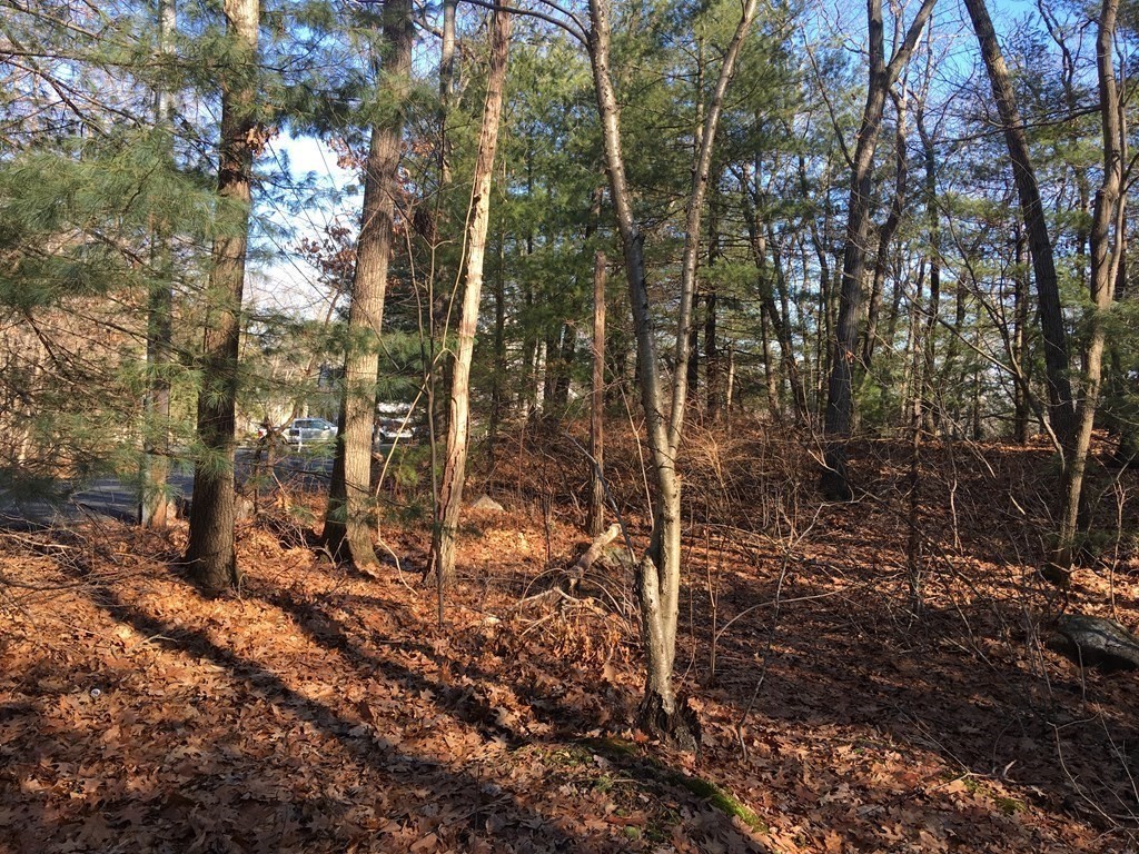 6 Woodland Road Beverly, MA 01915 - Photo 16 of 31 Gallery Image 16