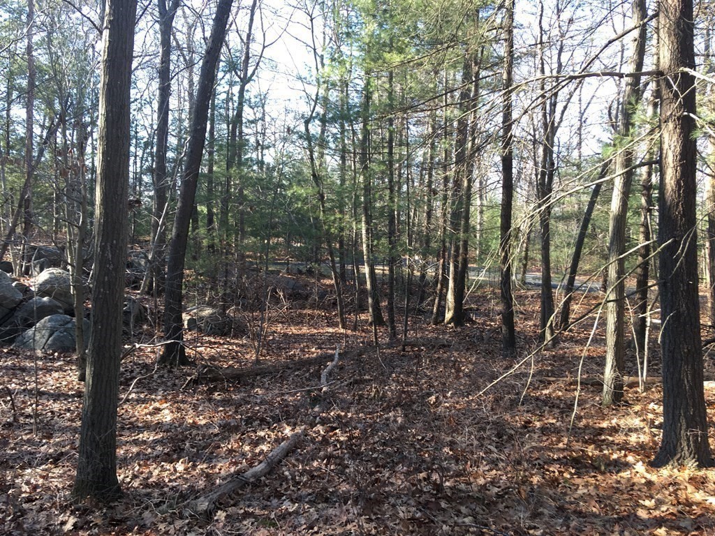 6 Woodland Road Beverly, MA 01915 - Photo 17 of 31 Gallery Image 17