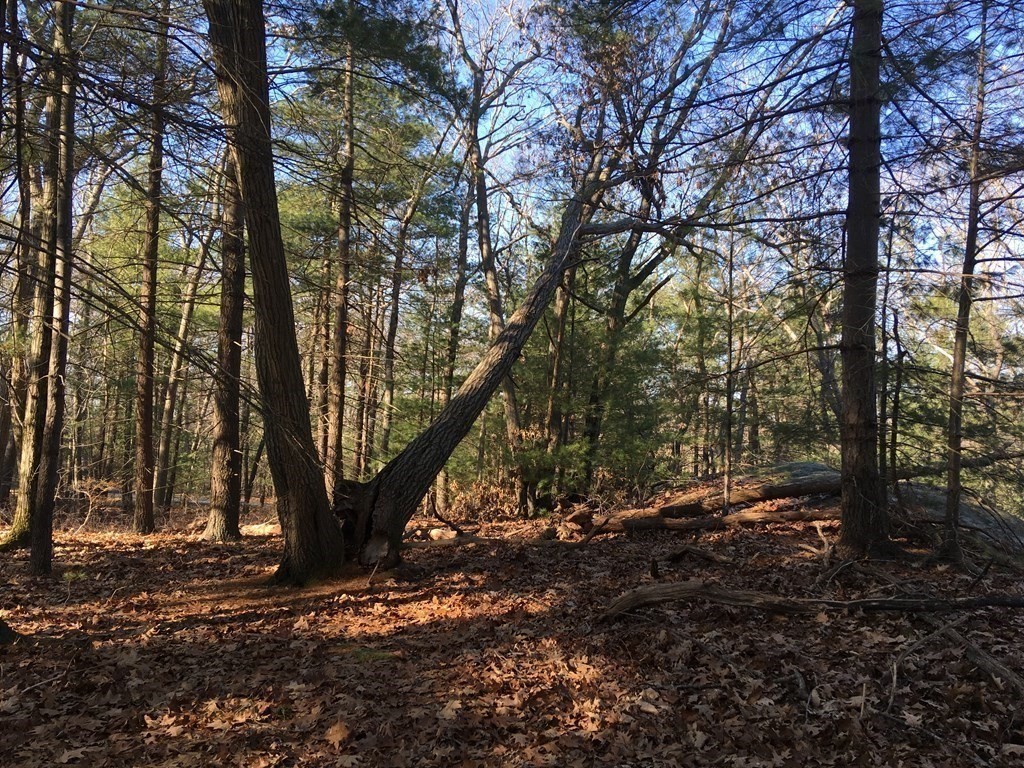 6 Woodland Road Beverly, MA 01915 - Photo 20 of 31 Gallery Image 20