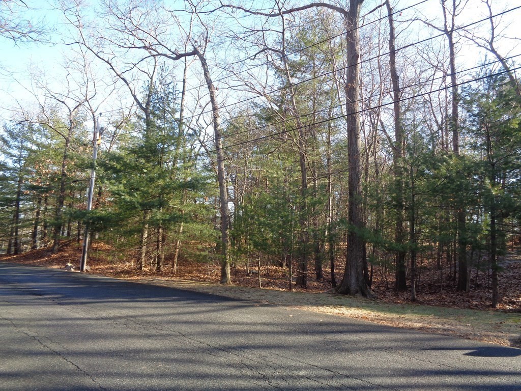 6 Woodland Road Beverly, MA 01915 - Photo 2 of 31 Gallery Image 2