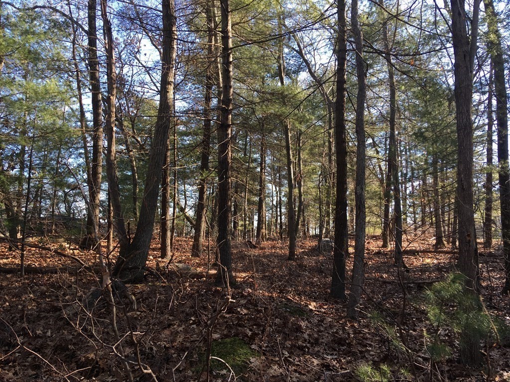 6 Woodland Road Beverly, MA 01915 - Photo 21 of 31 Gallery Image 21
