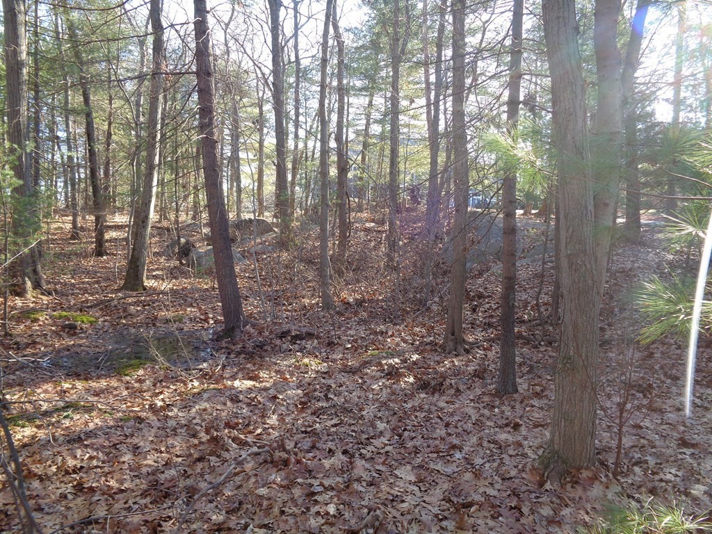 6 Woodland Road Beverly, MA 01915 - Photo 22 of 31 Gallery Image 22
