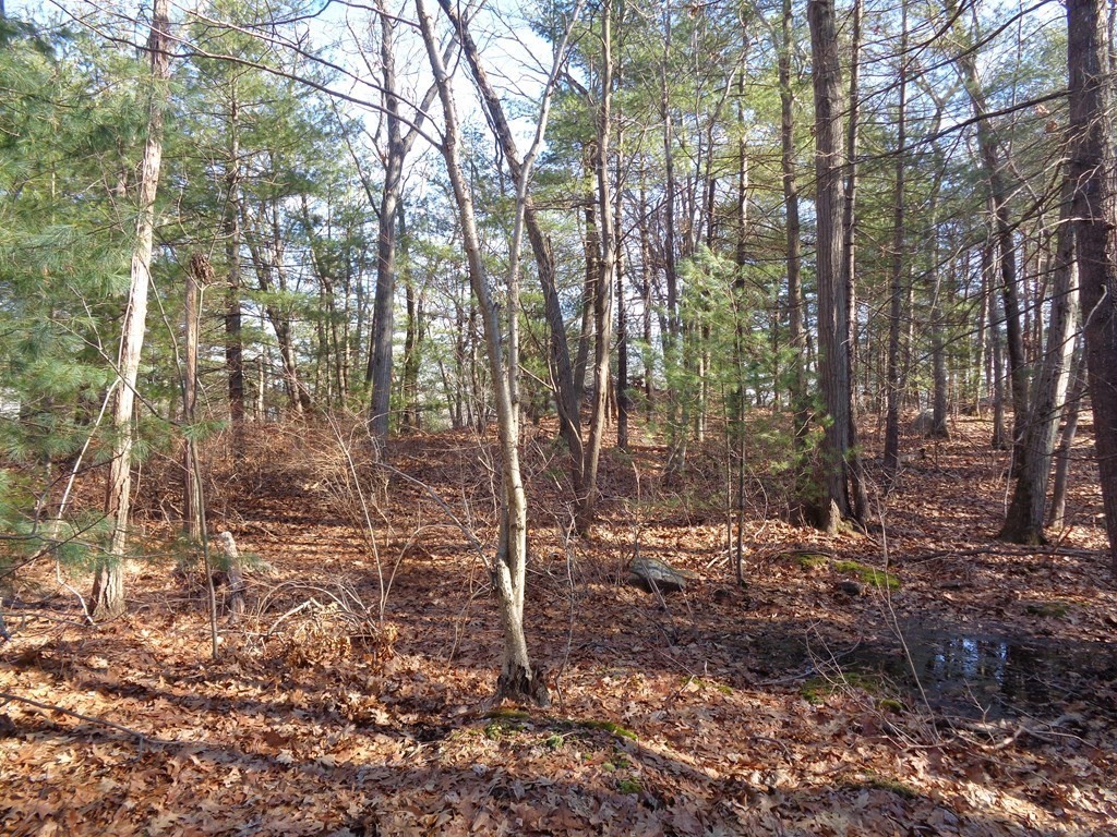 6 Woodland Road Beverly, MA 01915 - Photo 23 of 31 Gallery Image 23