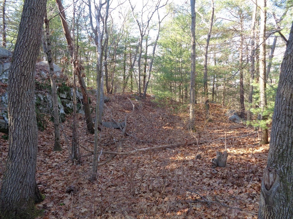6 Woodland Road Beverly, MA 01915 - Photo 24 of 31 Gallery Image 24