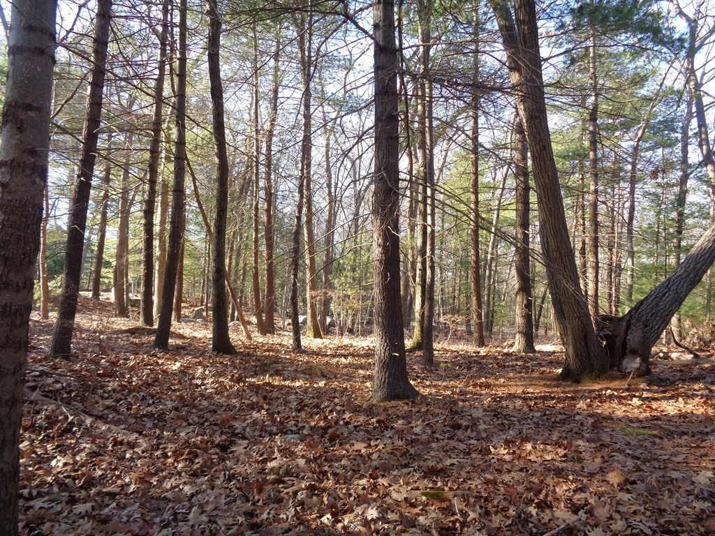 6 Woodland Road Beverly, MA 01915 - Photo 25 of 31 Gallery Image 25