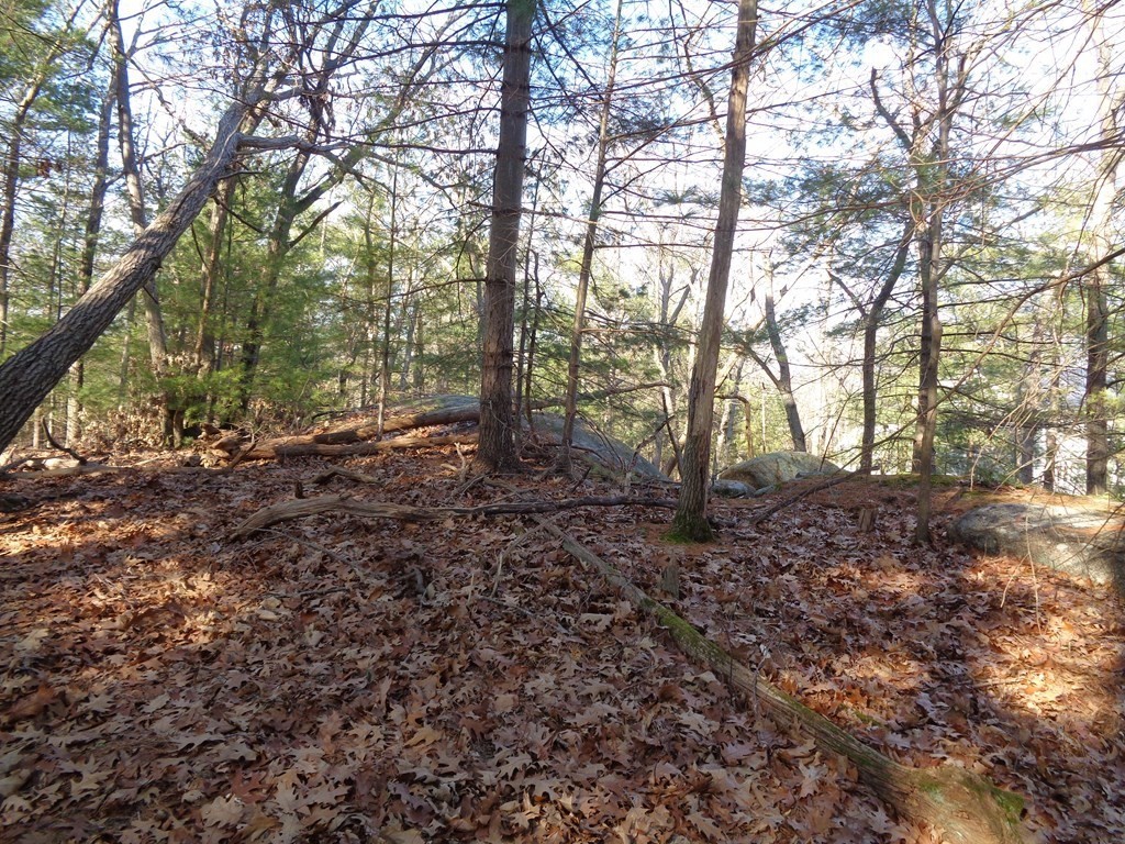 6 Woodland Road Beverly, MA 01915 - Photo 26 of 31 Gallery Image 26