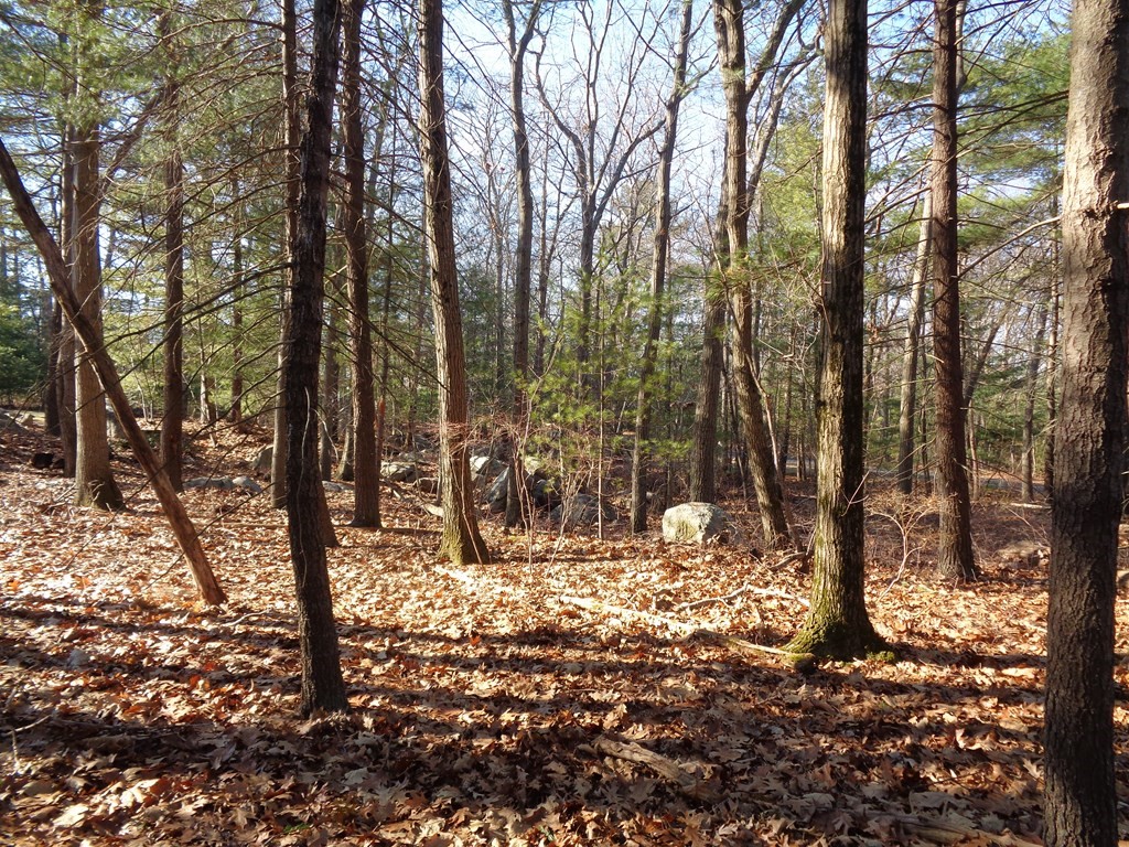 6 Woodland Road Beverly, MA 01915 - Photo 27 of 31 Gallery Image 27