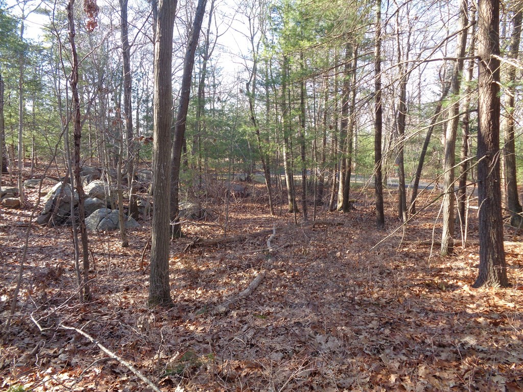 6 Woodland Road Beverly, MA 01915 - Photo 28 of 31 Gallery Image 28