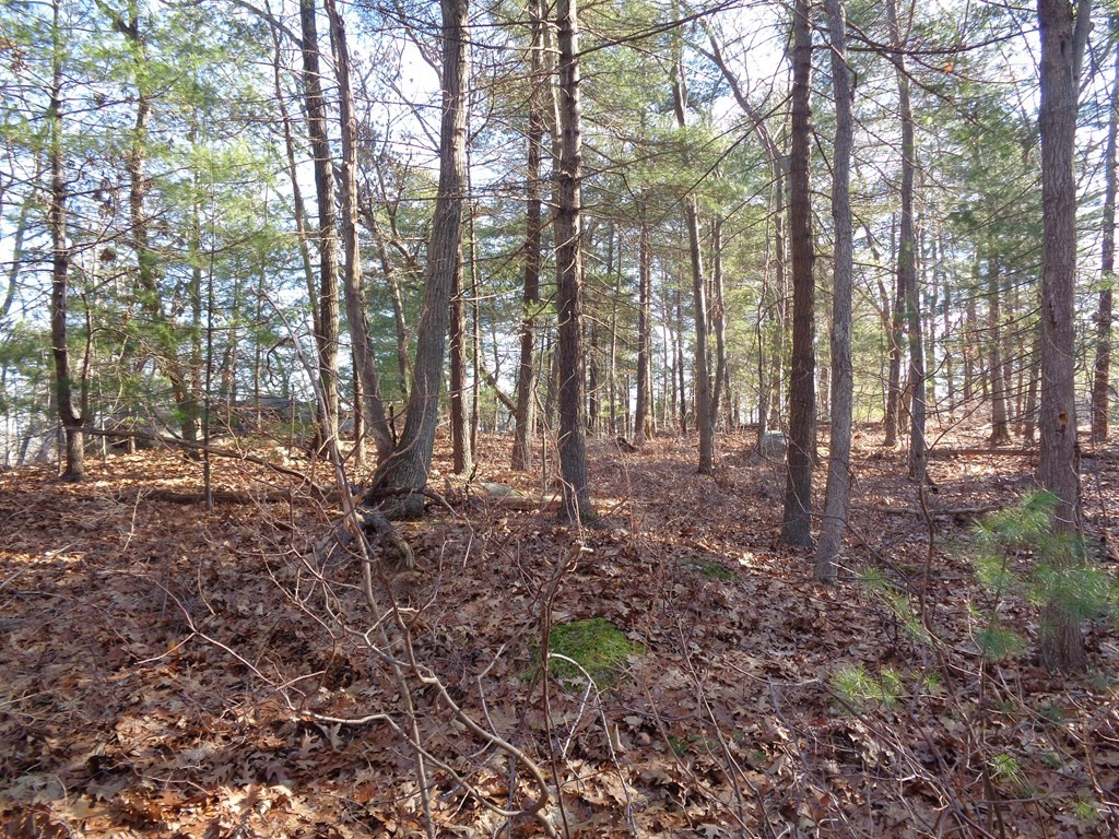 6 Woodland Road Beverly, MA 01915 - Photo 29 of 31 Gallery Image 29