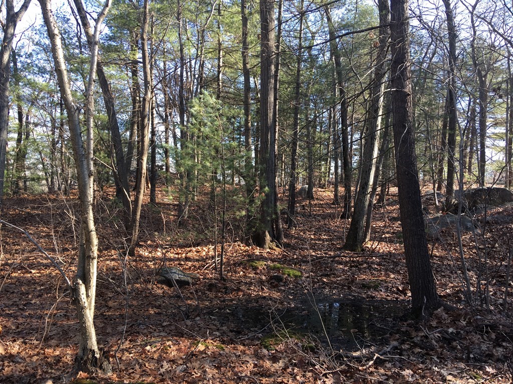 6 Woodland Road Beverly, MA 01915 - Photo 30 of 31 Gallery Image 30