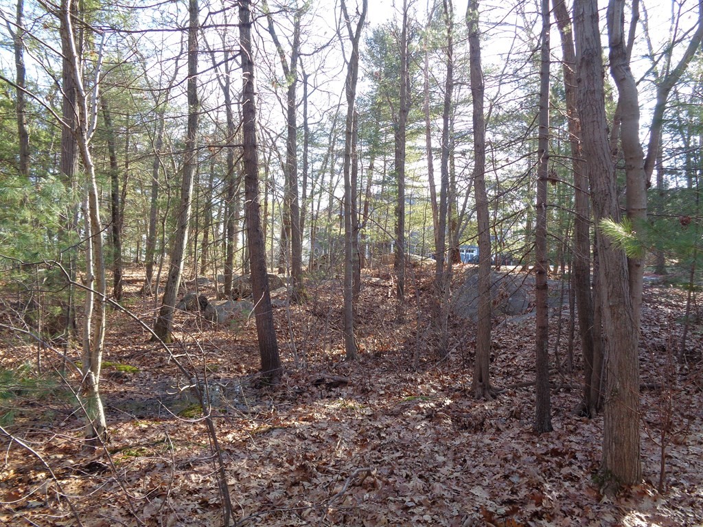 6 Woodland Road Beverly, MA 01915 - Photo 31 of 31 Gallery Image 31