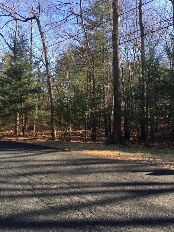 6 Woodland Road Beverly, MA 01915 - Photo 4 of 31 Gallery Image 4