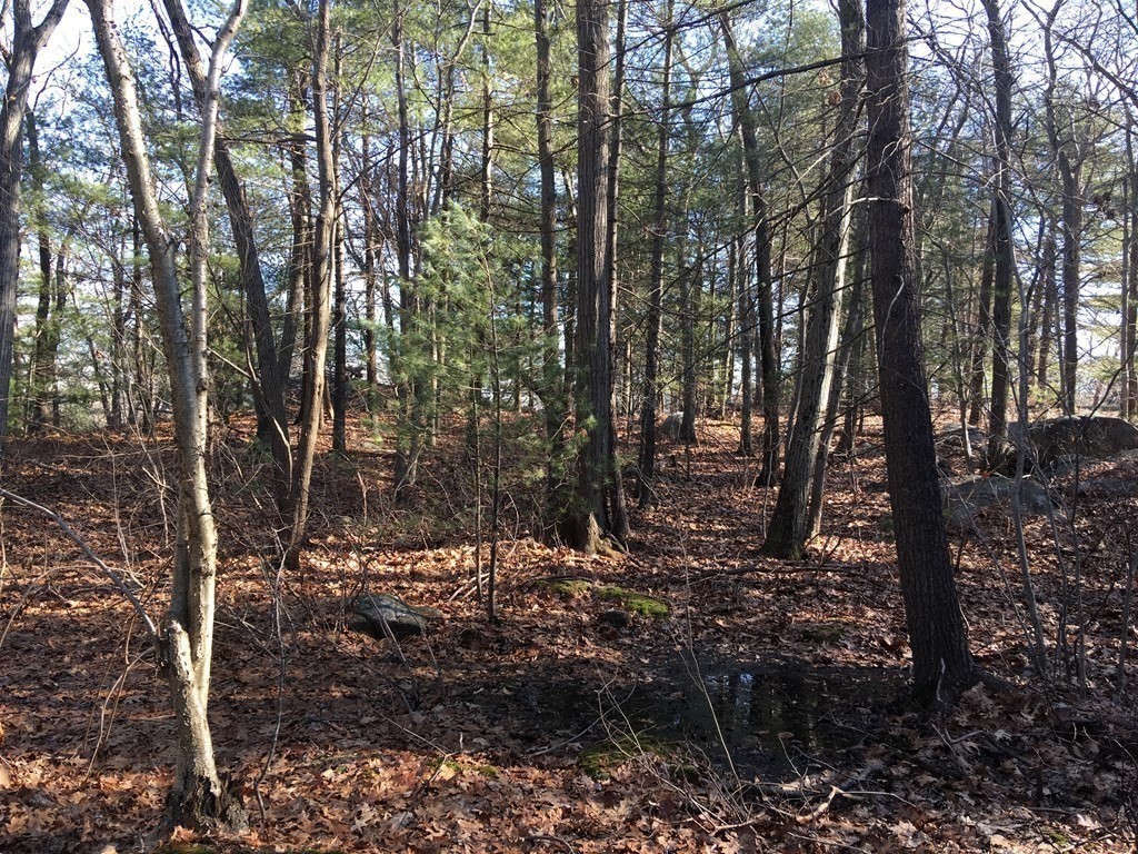 6 Woodland Road Beverly, MA 01915 - Photo 10 of 31 Gallery Image 10
