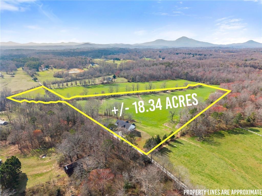 201 Fred Pitts Road Demorest, GA 30535 - Photo 3 of 55 a view of swimming pool with mountain view