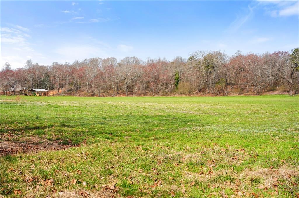 201 Fred Pitts Road Demorest, GA 30535 - Photo 46 of 55 a view of an ocean view and trees