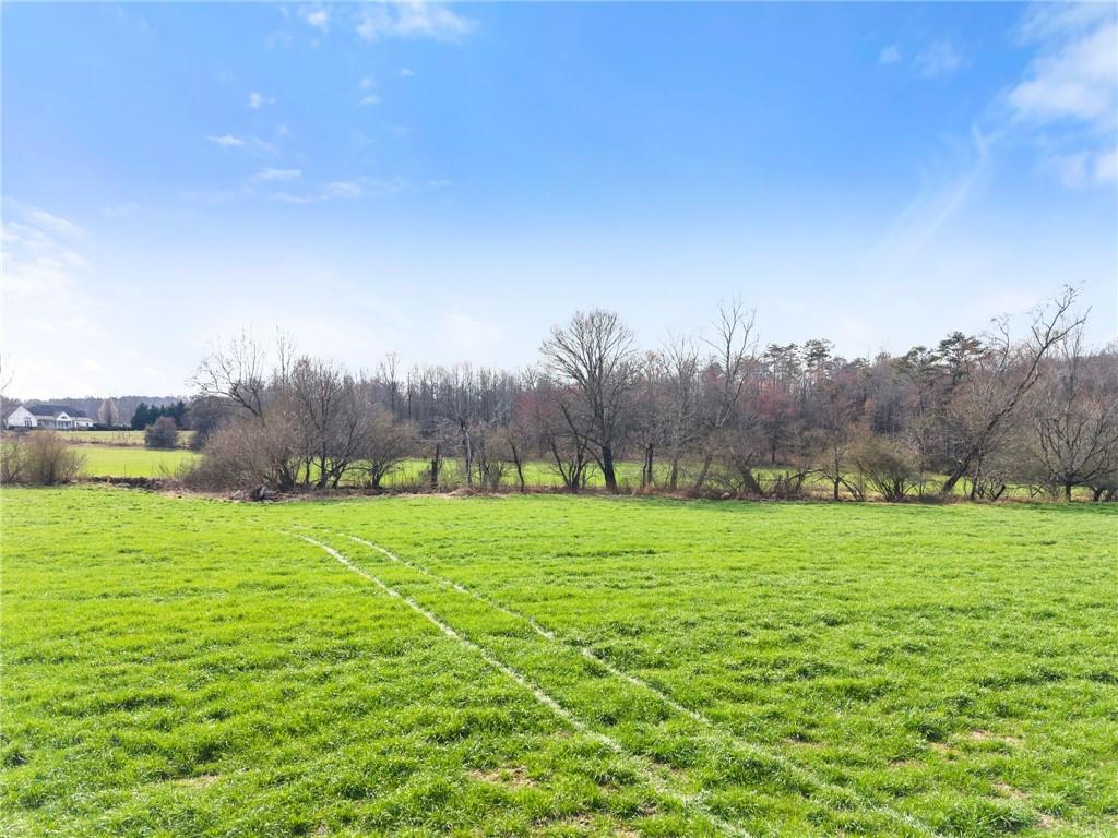 201 Fred Pitts Road Demorest, GA 30535 - Photo 50 of 55 a view of an outdoor space and a yard