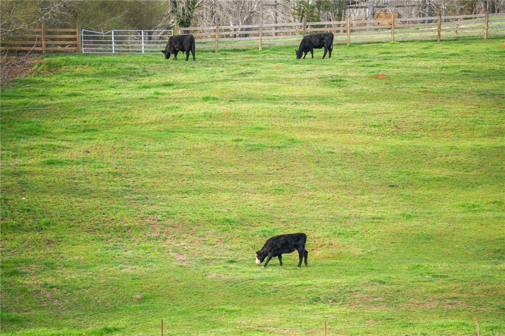 201 Fred Pitts Road Demorest, GA 30535 - Photo 51 of 55 a view of a garden