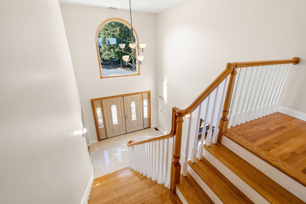 116 Raffaele Drive Waltham, MA 02452 - Photo 23 of 42 Gallery Image 23