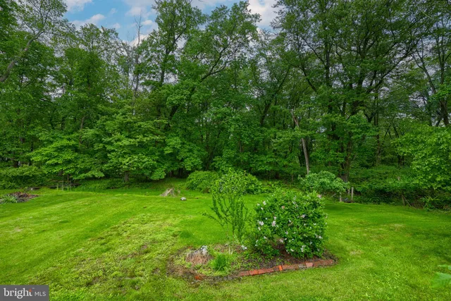 a view of green field with a tree