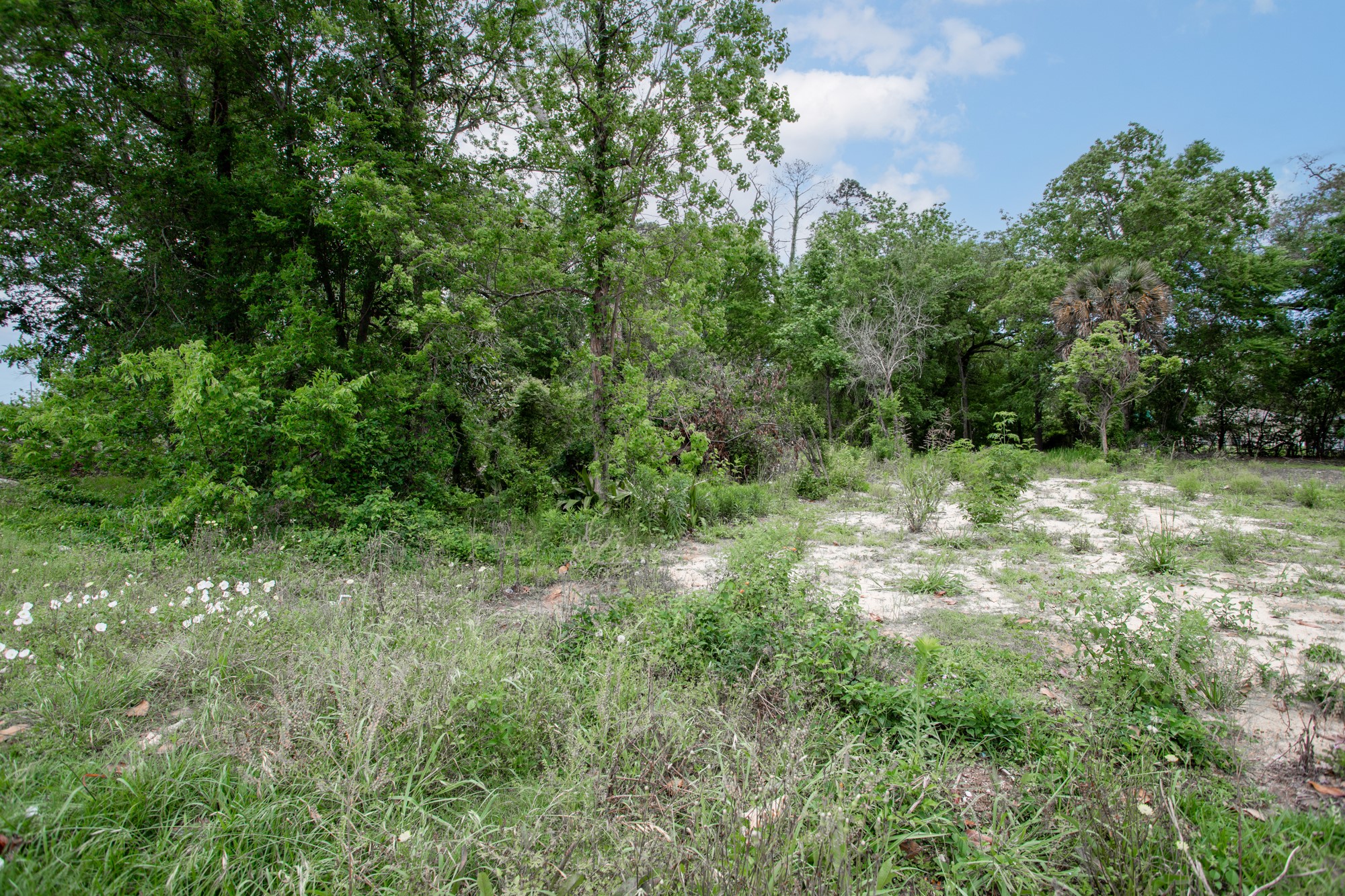 3665 Concord Road Beaumont, TX 77703 - Photo 9 of 13 Gallery Image 9