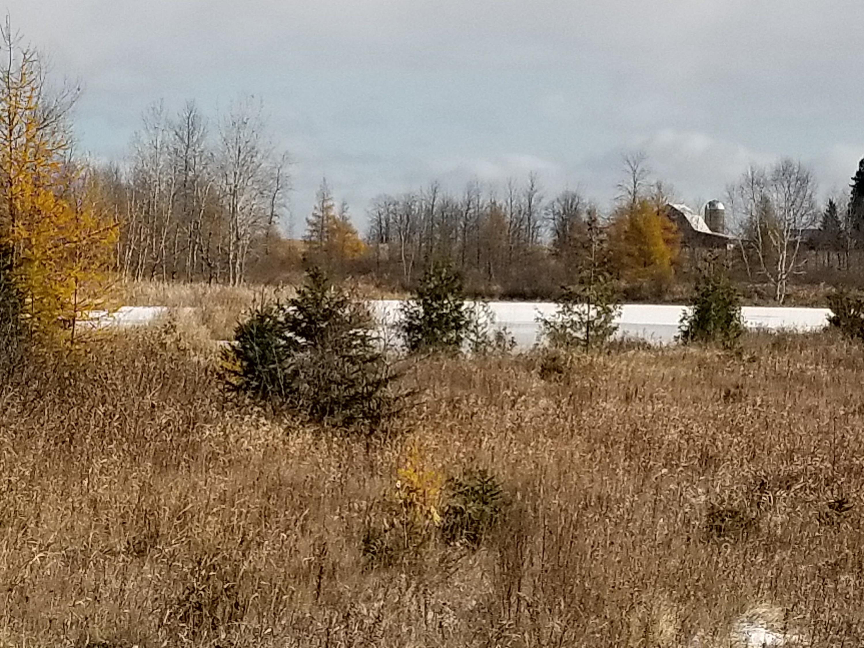 Thomson Road Lachine, MI 49753 - Photo 4 of 24 Gallery Image 4