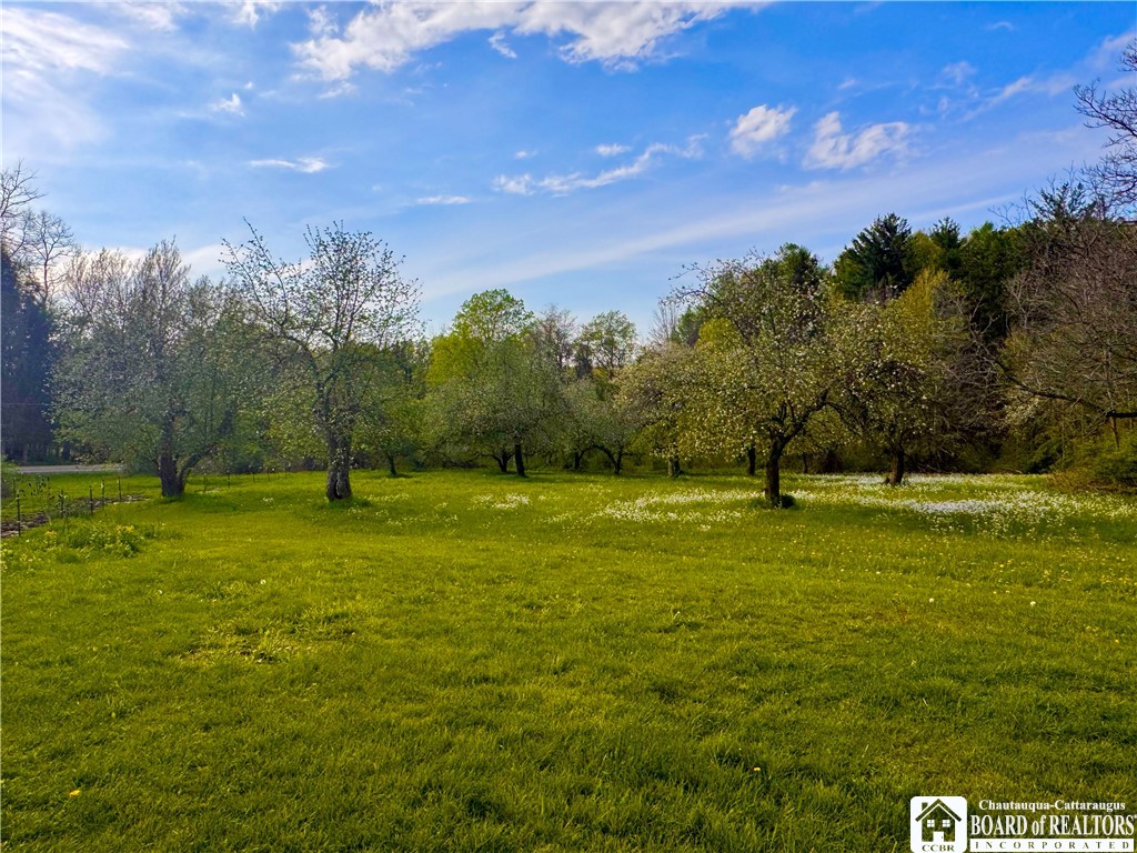 5166 Pickard Road Dewittville, NY 14728 - Photo 38 of 46 orchard