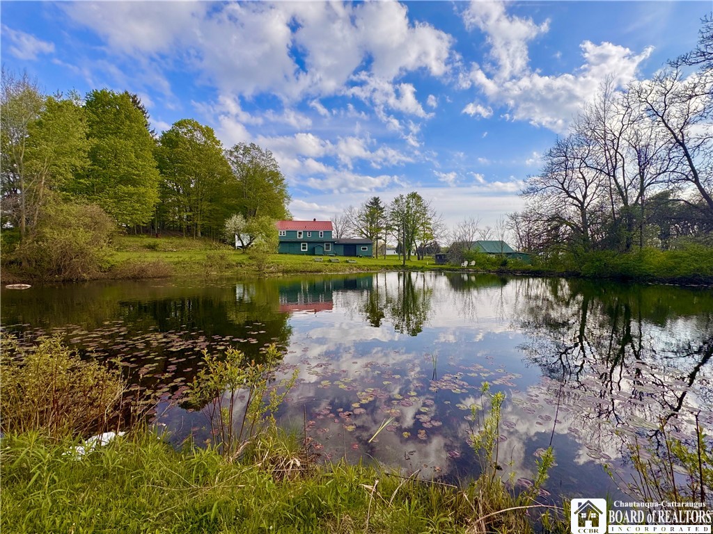 5166 Pickard Road Dewittville, NY 14728 - Photo 4 of 46