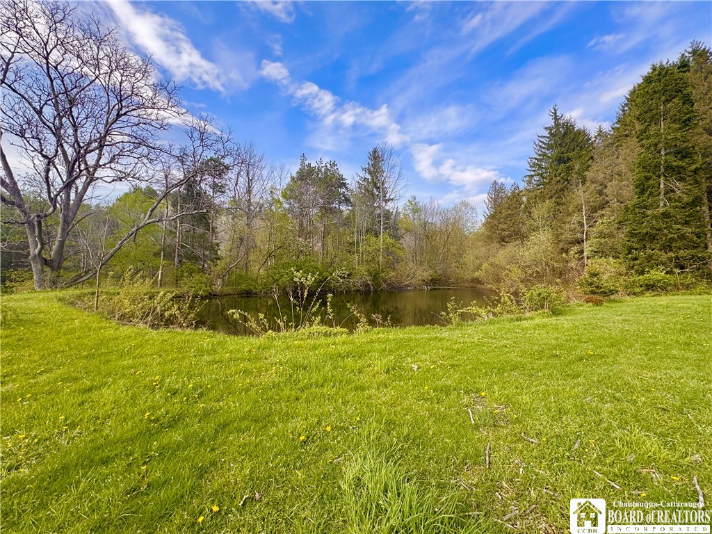 5166 Pickard Road Dewittville, NY 14728 - Photo 44 of 46 pond 2