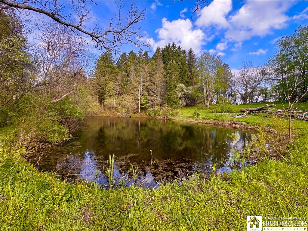 5166 Pickard Road Dewittville, NY 14728 - Photo 8 of 46 Pond 2
