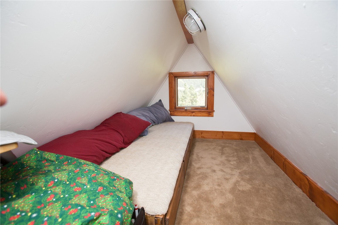242 Ridge Road Alma, CO 80420 - Photo 26 of 35 Gallery Image 26