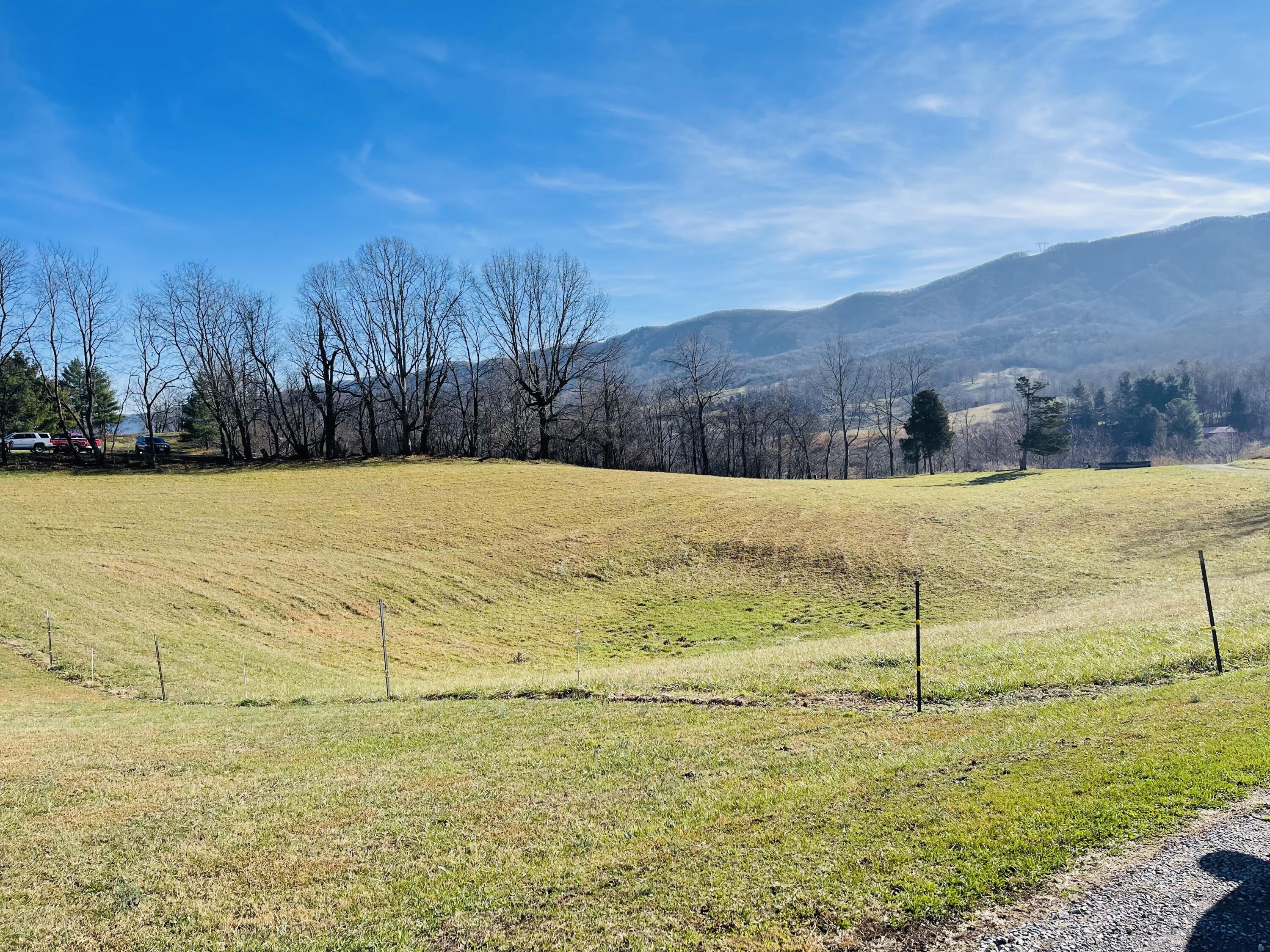5264 Mountain Road Cedar Bluff, VA 24609 - Photo 8 of 36 IMG-6740