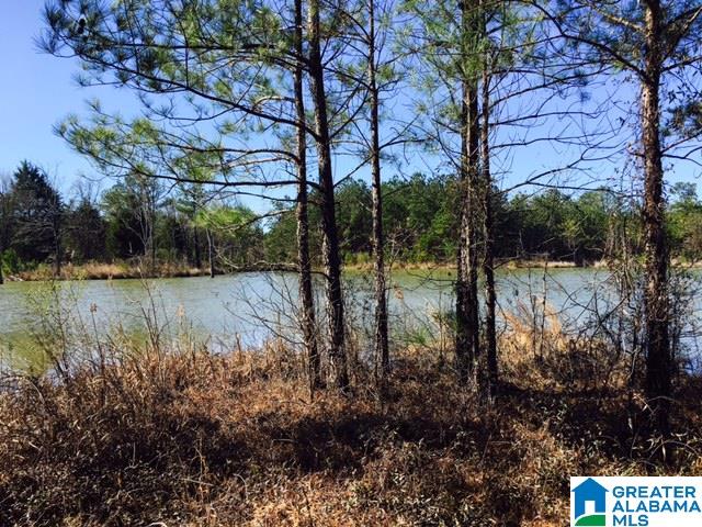 0 Barron Street Steele, AL 35987 - Photo 13 of 14