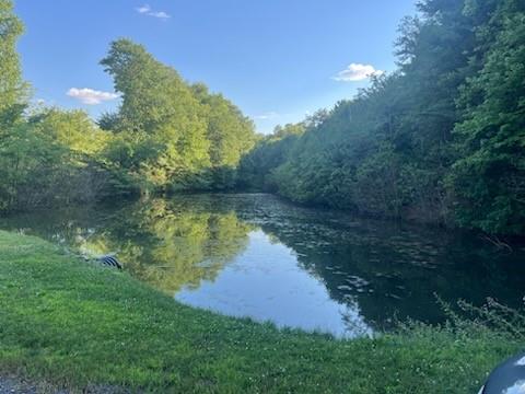 a view of a lake with a yard