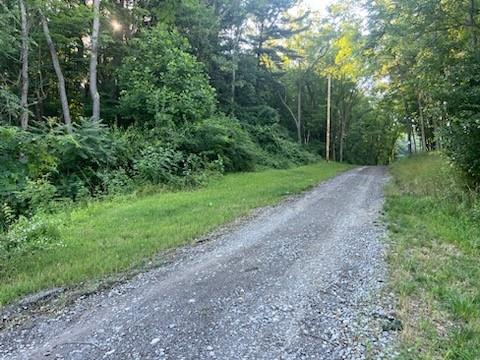 0 Wises Grove Road New Brighton, PA 15066 - Photo 3 of 5 Gallery Image 3