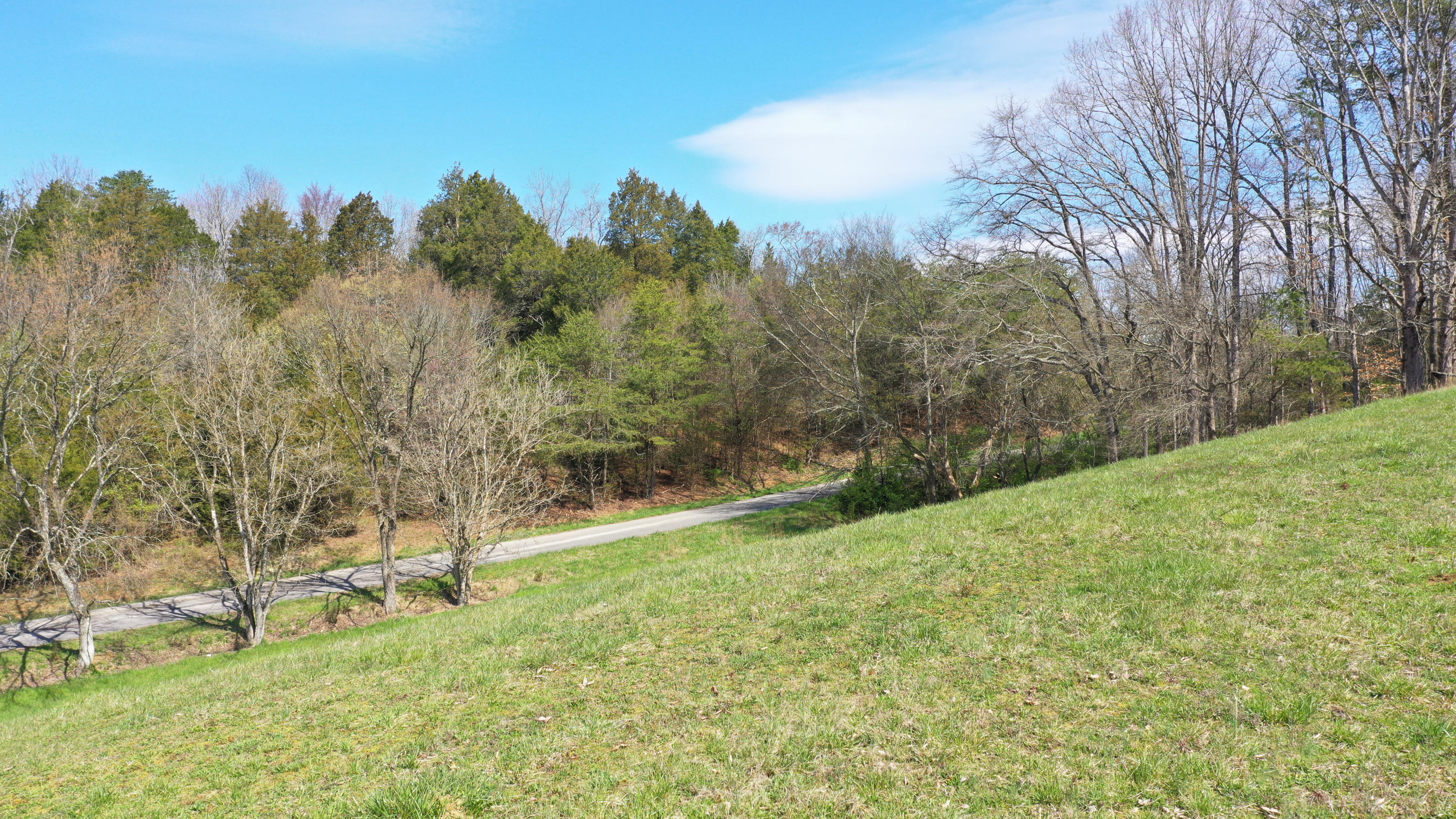 Hill Road Newport, TN 37821 - Photo 2 of 16 02Copy