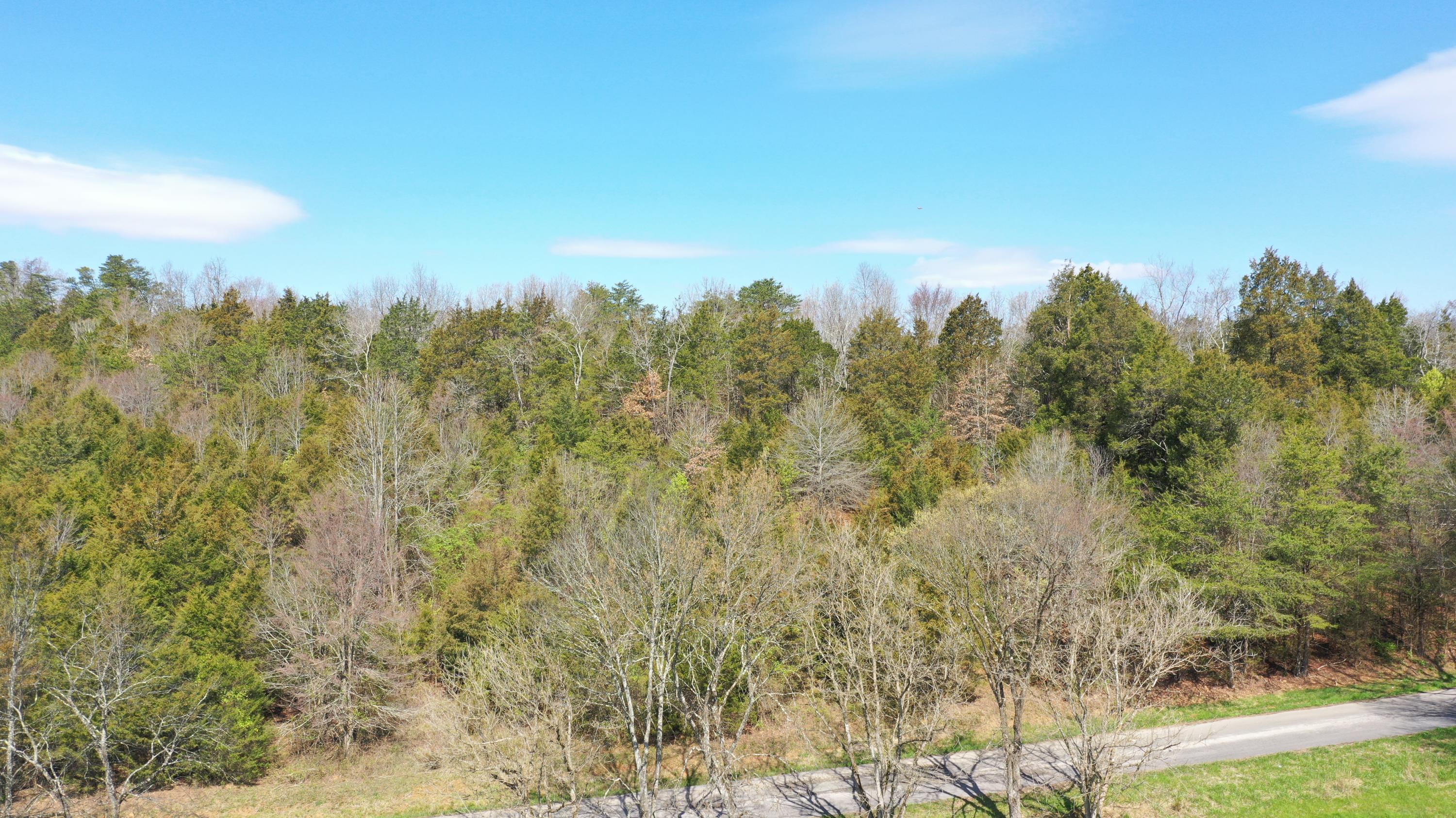 Hill Road Newport, TN 37821 - Photo 16 of 16 16DJI_0098