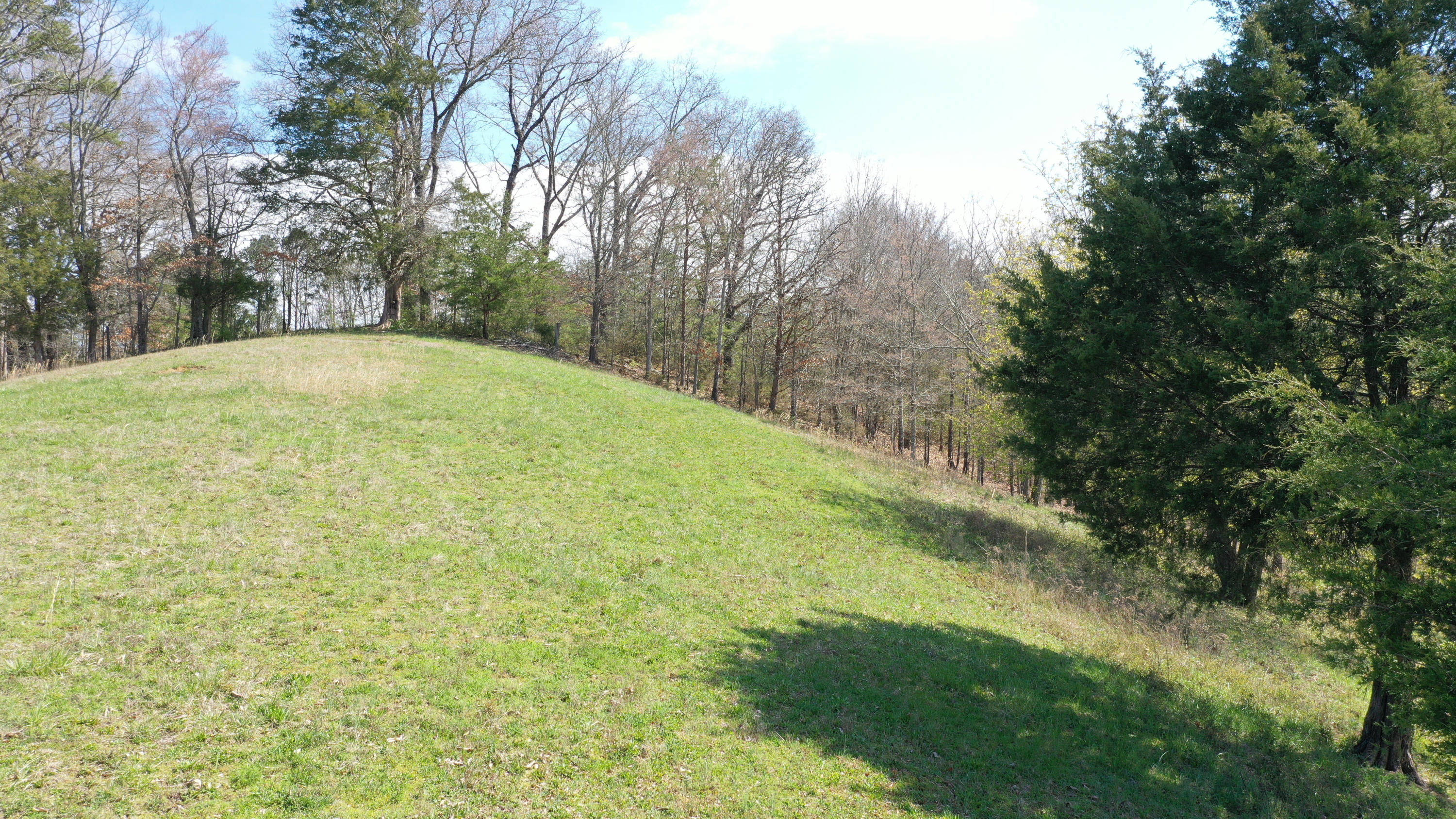Hill Road Newport, TN 37821 - Photo 4 of 16 04Copy