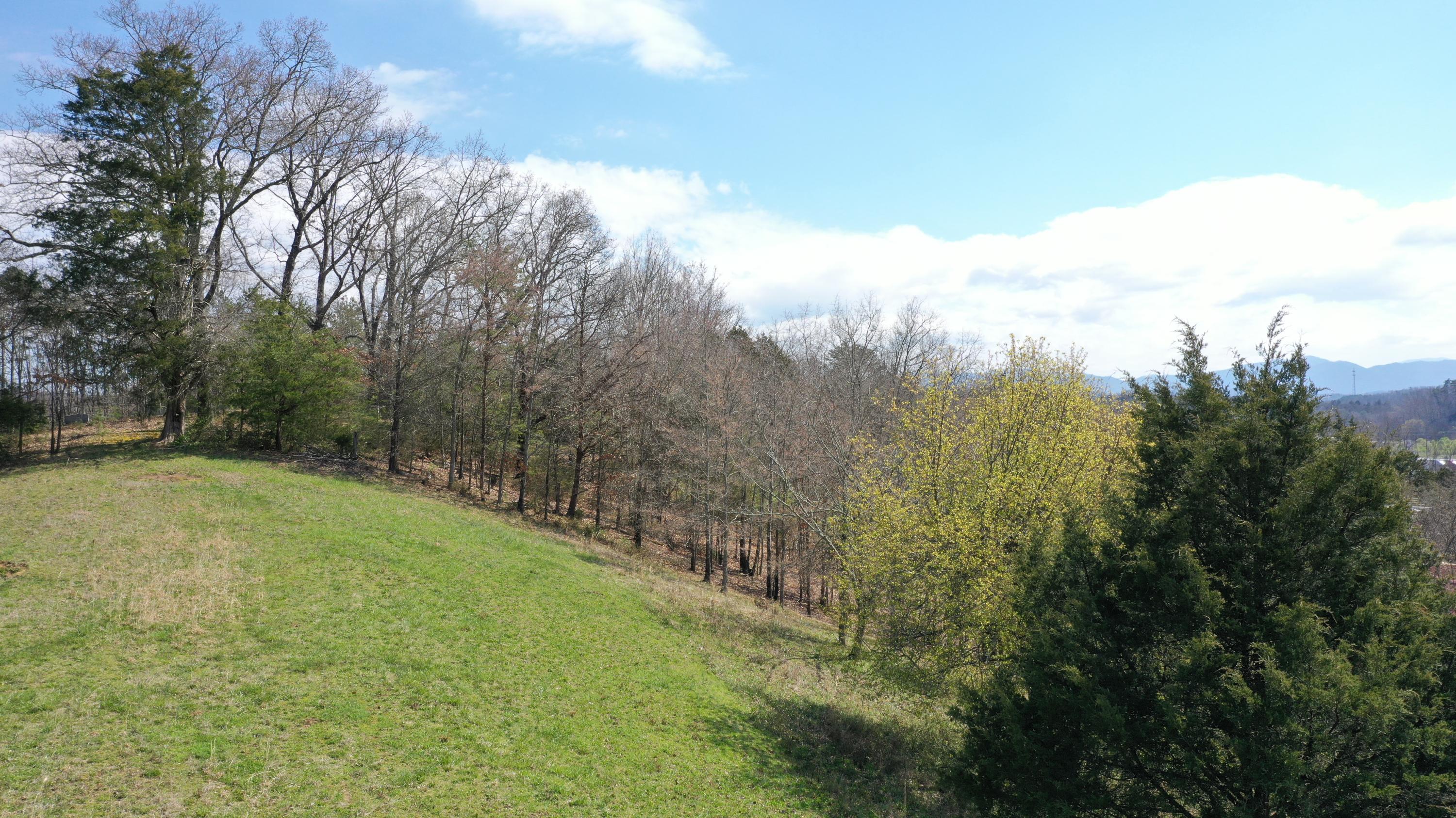 Hill Road Newport, TN 37821 - Photo 5 of 16 05DJI_0087