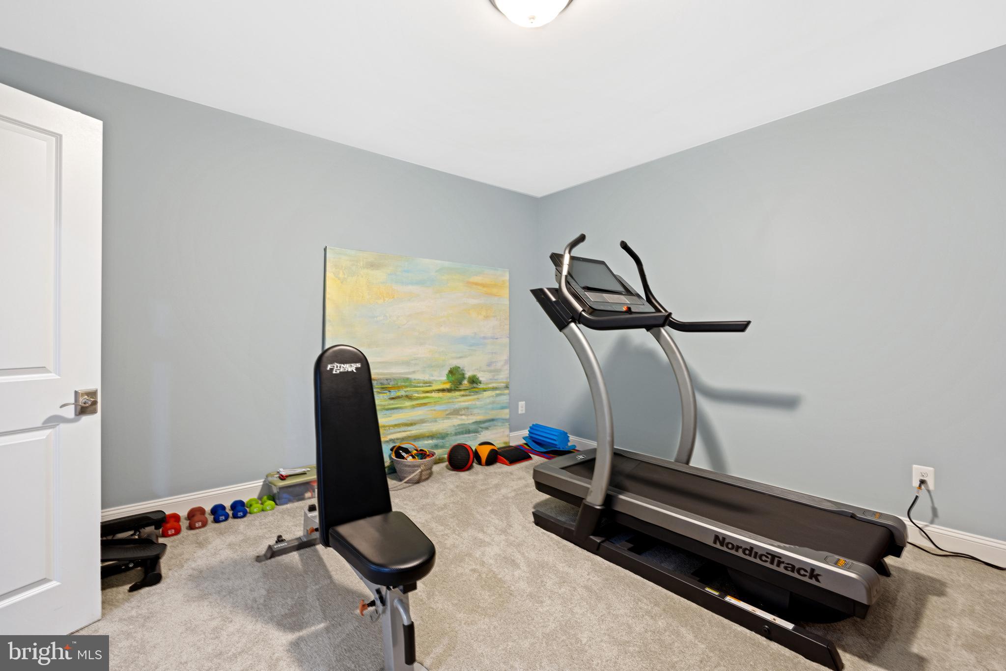 7869 Southdown Road Alexandria, VA 22308 - Photo 40 of 50 Gym hobby or play room