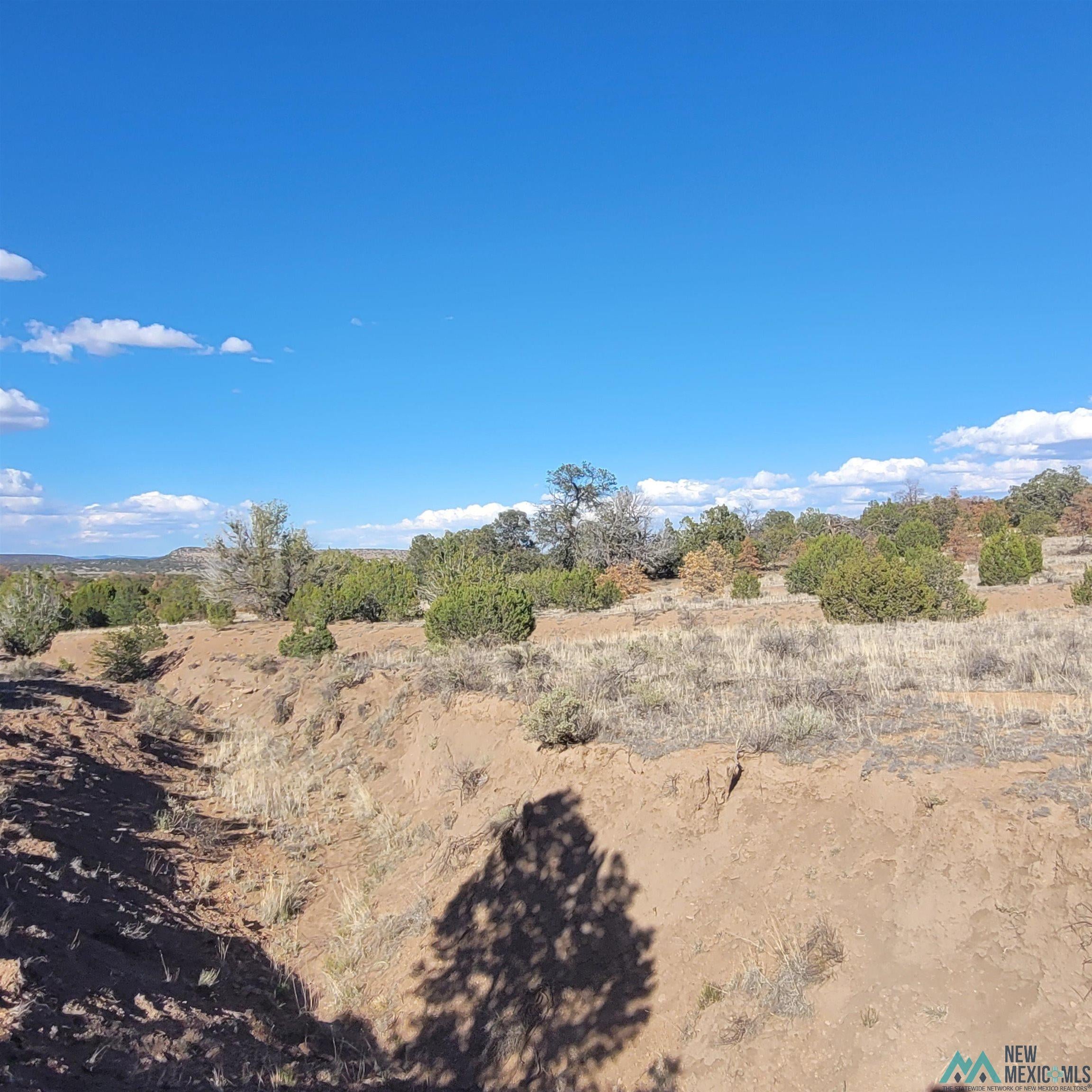 90 Lots 90 And 91 Canyon Drive Datil, NM 87821 - Photo 16 of 26 Gallery Image 16