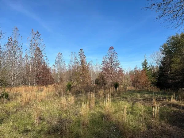 a view of a lake in between two of trees