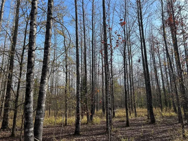 a view of backyard with green space