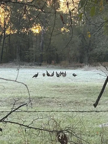 a view of city and ocean
