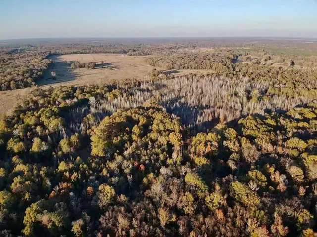 $328,000 | 1412 Bogata Tx 75426, Bogata, TX 75417