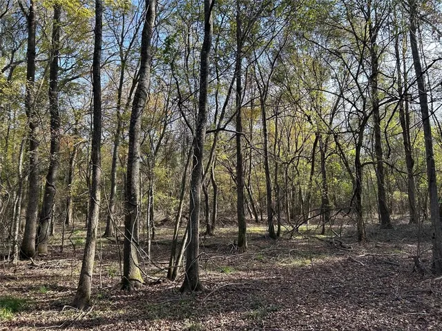 a view of backyard with green space