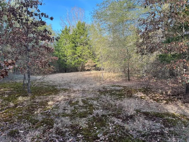 a view of a yard with large trees