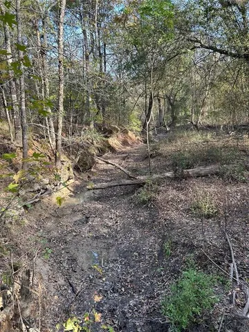 a view of outdoor space with lots of trees